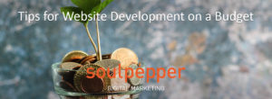 Website Development on a Budget | Soulpepper Digital Marketing
